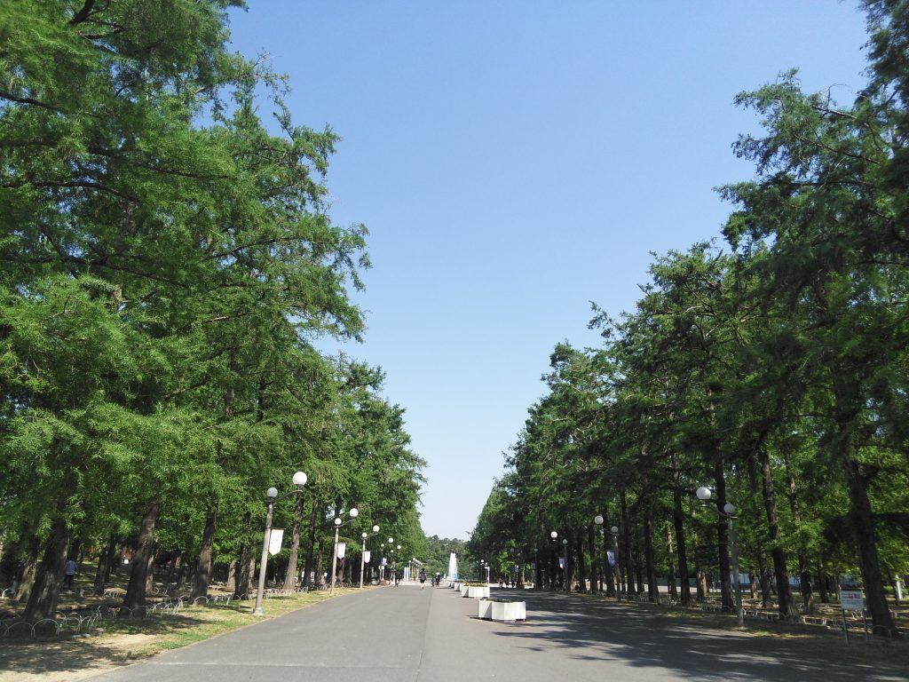 鶴見緑地公園の紅葉19 シティテラス鶴見緑地公園 住友不動産の新築マンション 分譲マンション 戸建の公式ブログ