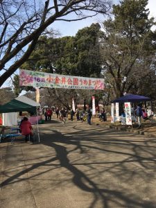 第１６回小金井公園うめまつり シティテラス小金井公園 住友不動産の新築マンション 分譲マンション 戸建の公式ブログ