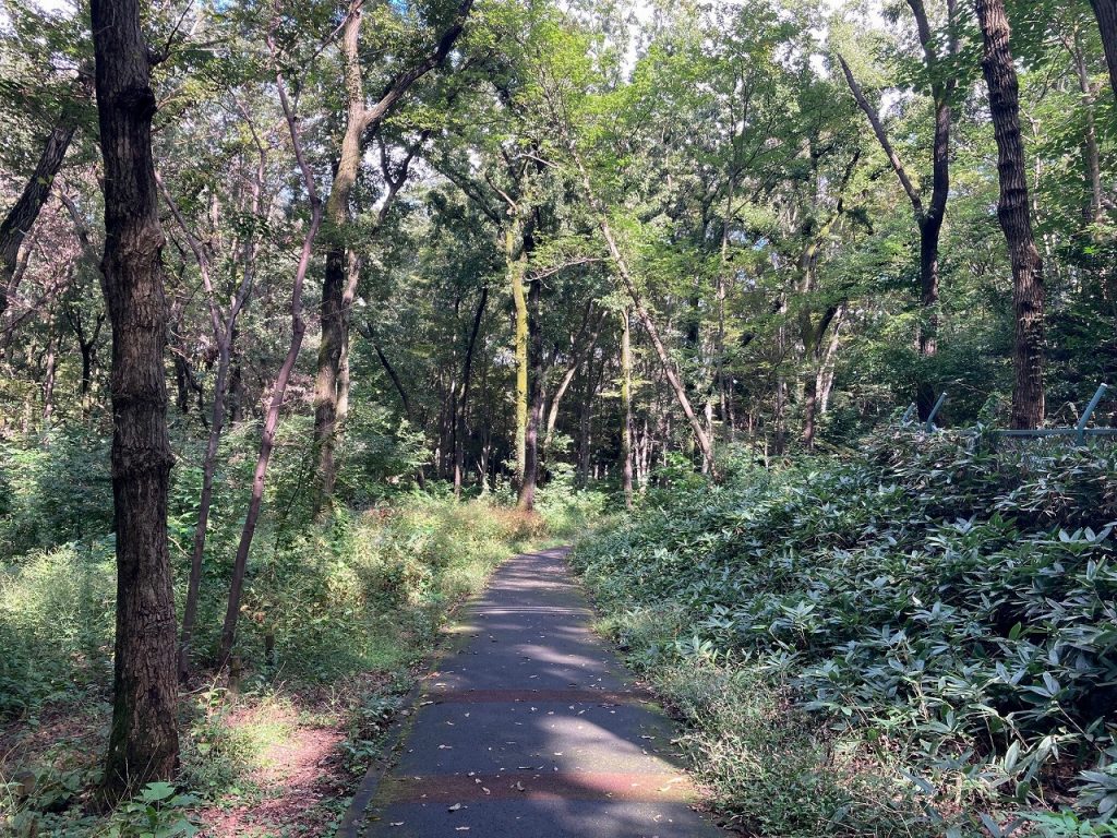 小金井公園サイクリングコース シティハウス小金井公園 住友不動産の新築マンション 分譲マンション 戸建の公式ブログ