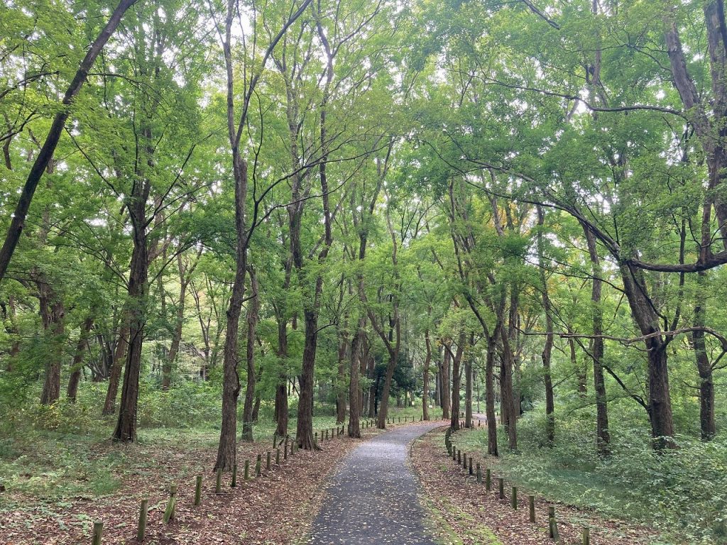 小金井公園サイクリングコース シティハウス小金井公園 住友不動産の新築マンション 分譲マンション 戸建の公式ブログ