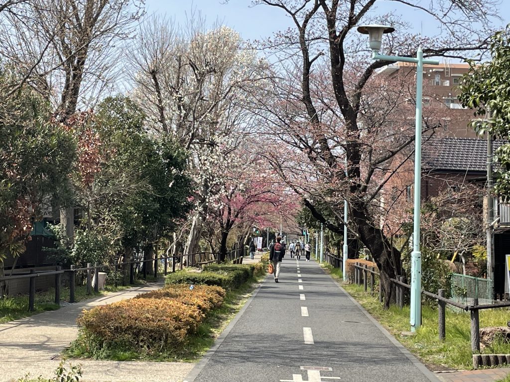 カテゴリ レストラン シティハウス小金井公園 住友不動産の新築マンション 分譲マンション 戸建の公式ブログ