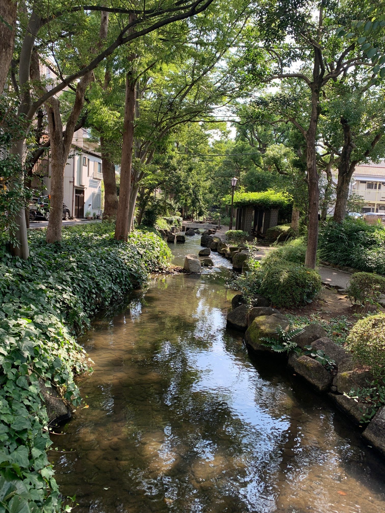 小松川境川親水公園 シティテラス新小岩 住友不動産の新築マンション 分譲マンション 戸建の公式ブログ