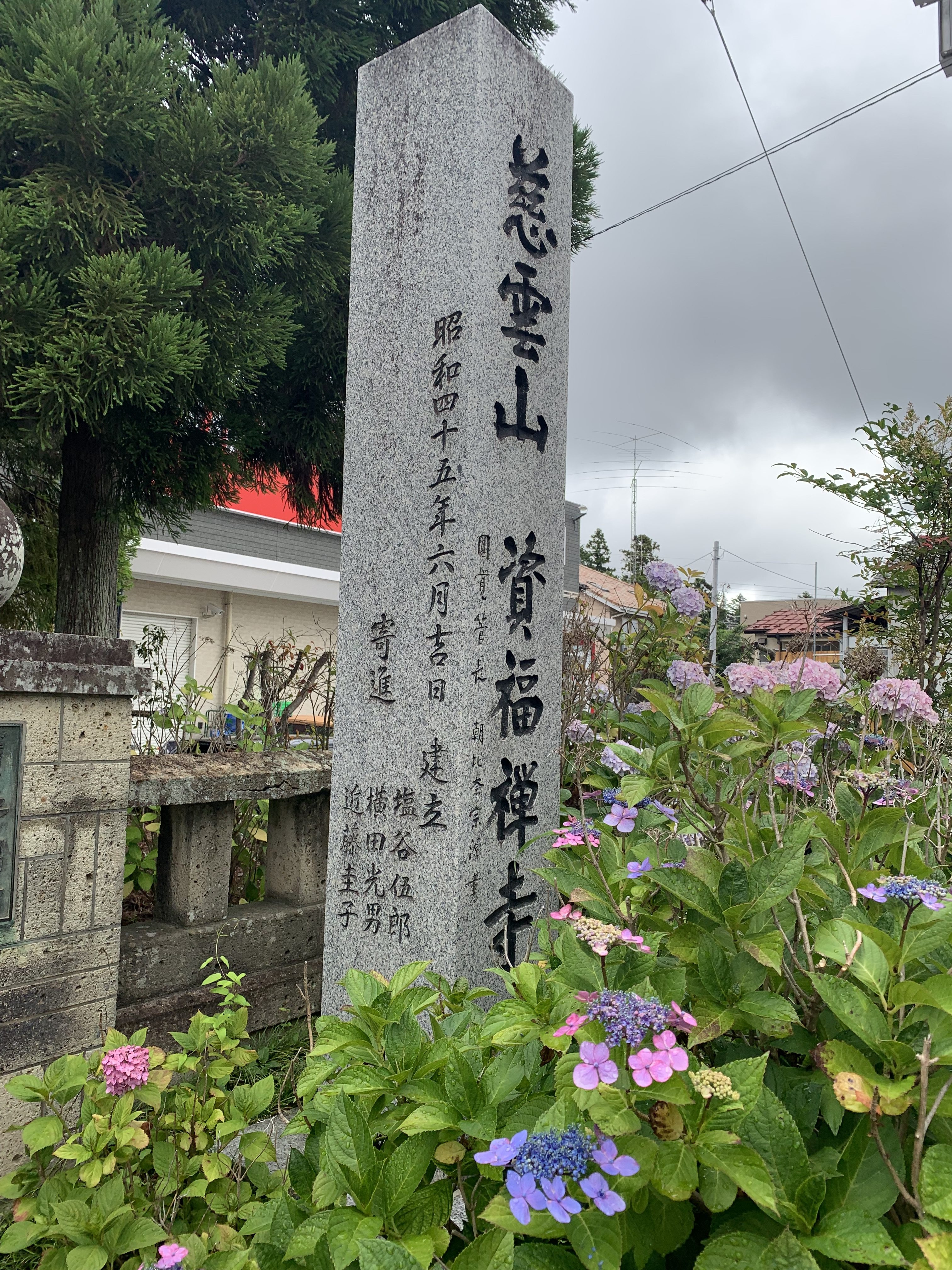 紫陽花の名所 資福寺のご紹介 シティテラス上杉 住友不動産の新築マンション 分譲マンション 戸建の公式ブログ