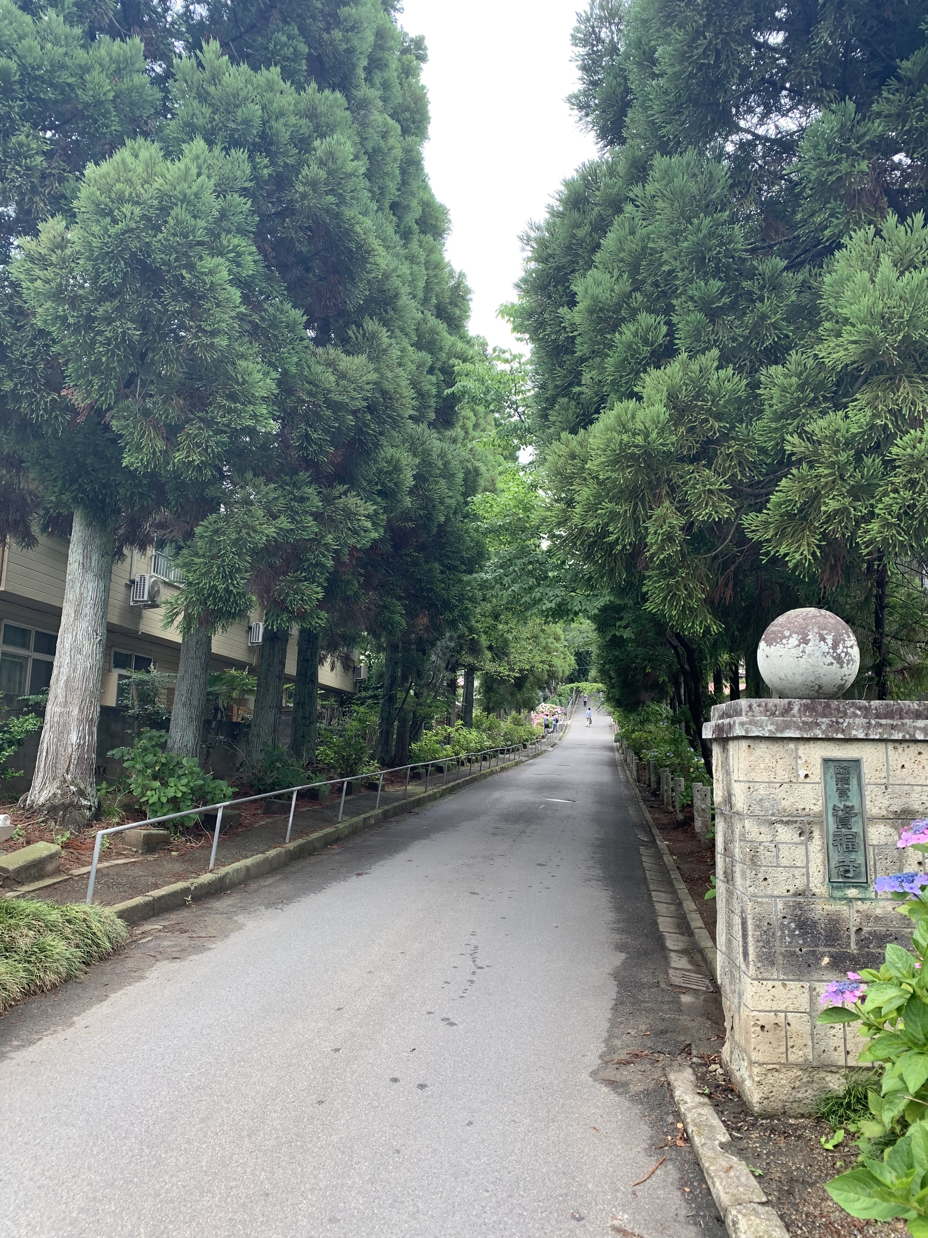 紫陽花の名所 資福寺のご紹介 シティテラス上杉 住友不動産の新築マンション 分譲マンション 戸建の公式ブログ